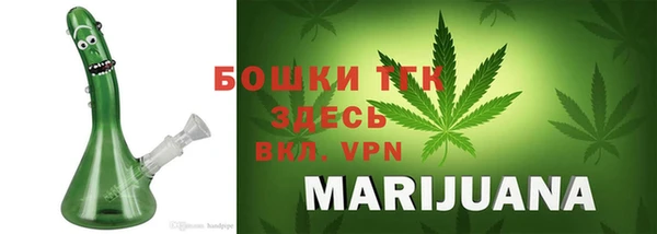 дживик Слюдянка
