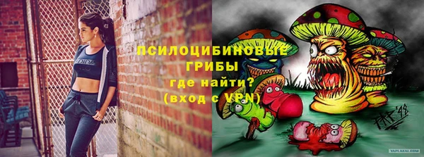 ГАЛЛЮЦИНОГЕННЫЕ ГРИБЫ Верхний Тагил